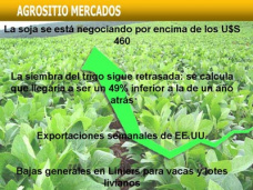 AM TV: La soja está cotizando por encima de los U$S 460 , con un repunte de U$S 5