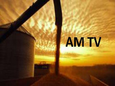 AM TV: Se aguardan alzas para la soja y granos en CBOT. Firmeza del mercado exportador. Los Superpoderes, al Senado
