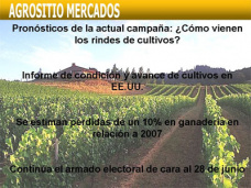 AM TV: Pronósticos de la actual campaña de granos: ¿Cómo vienen los rindes?. Cae el stock ganadero