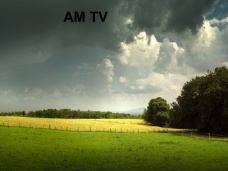 AMTV: 