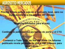 AM TV: Denuncian la existencia de cartas de porte mellizas. La Mesa de Enlace dará una conferencia de prensa en 