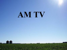 AM TV: Apertura alcista para los granos en CBOT. Intentan forjar pisos a pesar de la revaluación del dólar