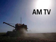 AM TV: Productores esperan lluvias a fin de mes como última chance para sembrar trigo