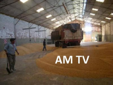 AM TV: Sepa los alcances del nuevo acuerdo Gobierno- Exportadores por el maíz. China reservó 8 cargamentos de soja de Argentina y Brasil
