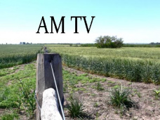 AM TV: CBOT abre con subas de U$S 3 para la soja. Análisis del mercado ganadero, con Juan Llauró