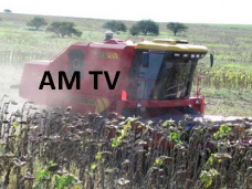 AM TV: ¿Aumenta la producción de granos? ¿Qué pasa con los precios? El análisis de Santiago Navone. Buenas remesas en Liniers
