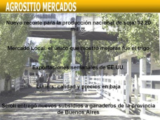 AM TV: Mejoras para el trigo en el Mercado Local. Polémica por la nueva disposición en torno a las cartas de porte