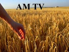 AM TV: Los granos se negocian en baja presionados por el clima y por las finanzas