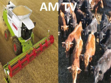 AM TV: Los granos se inclinan hacia la baja por una toma de ganancias. Los precios atractivos para soja aprecerán en el 2do semestre del año