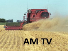 AM TV: El clima favorable en EE.UU. provoca baja en granos y oleaginosas. El maíz sigue frenado en el mercado local