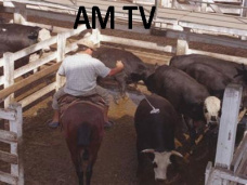 AM TV- Se espera una cosecha récord de soja en Argentina: 52 mill.tt. 