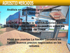 AM TV: Los ROE otorgados para maíz no lograron efecto positivo sobre los precios. La Nación Ganadera abrió sus puertas en Tandil