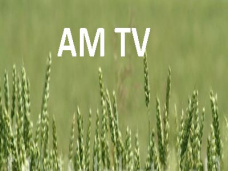 AM TV: Granos- ¿Comprar, vender? Todo el análisis y recomendaciones- Con Santiago Navone