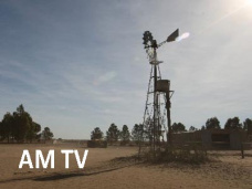 AM TV: La soja, cerca de los U$S 400 tt. Contagio positivo en el mercado local. Liniers: se mantiene la vaca manufa y conserva