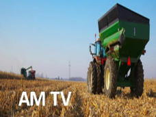 AM TV: El mercado granario mantiene pisos de valores. En Liniers los lotes livianos aumentaron 20 centavos