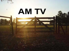 AM TV: Firme interés por el maíz en el mercado local. Los granos, alentados por las mejoras del crudo