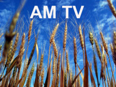 AMTV: 