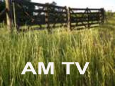 AM TV: 