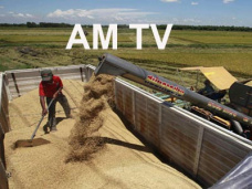 AMTV: “Mañana llegan lluvias con relativo beneficio para soja. Recomiendan tomar CALL para vender” 