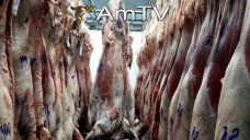 AMTV: Los precios de la soja suben y arrastran al trigo y maíz