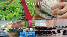 AMTV: El mercado local exige desprenderse del maíz. Las lluvias demoran la cosecha