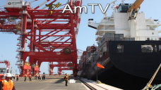 AMTV: Bajas para soja y maíz en CBOT y trigo en suba