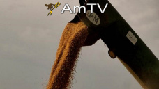 AMTV: Hoy se publicará el reporte trimestral del USDA, el último sobre stocks de campaña 13/14