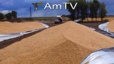 AMTV: ¿Hasta dónde llega el rebote bajista en granos? Silo bolsa roto en Córdoba 