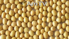 AMTV: Empuje de la harina de soja en el mercado por mayor demanda que lo proyectado