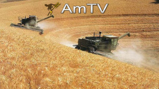 AMTV: Se ven pocas subas en soja a pesar de las últimas bajas por la oferta de harina