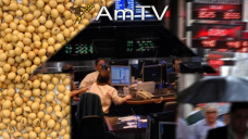 AMTV: Desde MinAgri prometen abrir la exportación de trigo luego de la cosecha