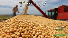 AMTV: Subas de petróleo y aceite de soja. Mercado se prepara al informe USDA