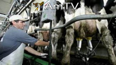 AMTV: Luego de procesar el reporte del USDA, el mercado definirá la tendencia de precios