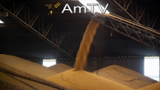 AMTV: Pocas variaciones en CBOT. La cosecha de Soja de nuestro país será récord