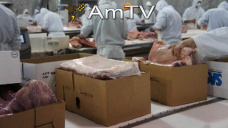 AMTV: Mercado a la espera de reporte del USDA. Bajó la calidad de maíz 
