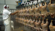 AMTV: Se pronostica clima seco en EEUU. Caída bursátil en China presionan a la baja