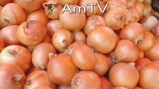 AMTV: La soja retoma la baja. Datos de rinde de maíz según el Profarmer