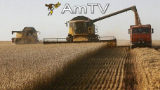 AMTV: Fuerte intención de siembra en Brasil. Precoupa el clima seco en Australia y Europa del Este