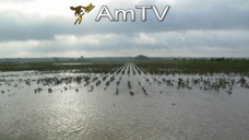 AMTV: El mercado centra el foco en la demanda y el clima sudaméricano