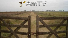 AMTV: Mejora el clima sudaméricano. Terminó la cosecha de soja en EEUU