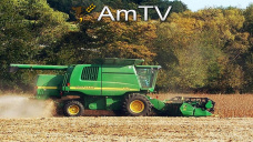 AMTV: Se reactivaron embarques de soja en EEUU. Mejor calidad de trigo de invierno