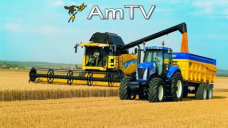 AMTV: Expectativa por Reporte del USDA. Riesgo de siembra en Córdoba