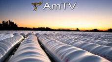 AMTV: Fuerte existencia de maíz guardado en Argentina. Problemas climáticos en Brasil