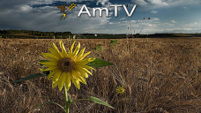 AMTV: Comienza el año con la mirada puesta en los precios