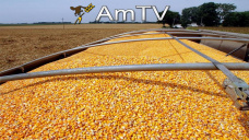 AMTV: Soja vuelve a superar los $3000/Tn disponible. Trigo y Maíz valen 90% más que hace un año