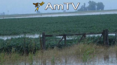 AMTV: Debido a las inundaciones, los daños representan 2 millones de toneladas de soja