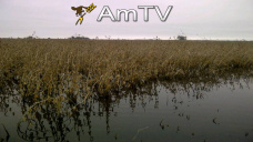 AMTV: Continúan pesando las especulaciones de perdidas por atraso de cosecha