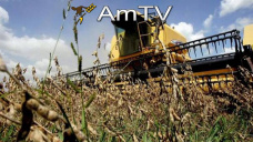 AMTV: Ingresos de casi 100 mil animales en Liniers. Pérdidas segmentadas por inundaciones