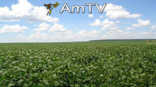 AMTV: Muy buenas exportaciones de EEUU. Datos de Agroindustria sobre producción argentina