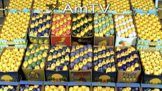 AMTV: Siembra de EEUU adelantada y buena condición de cultivos